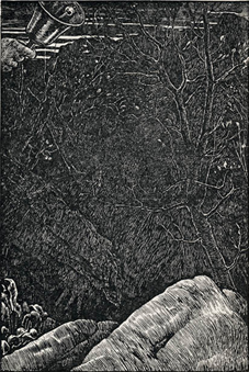 201328_F0001.jpg
